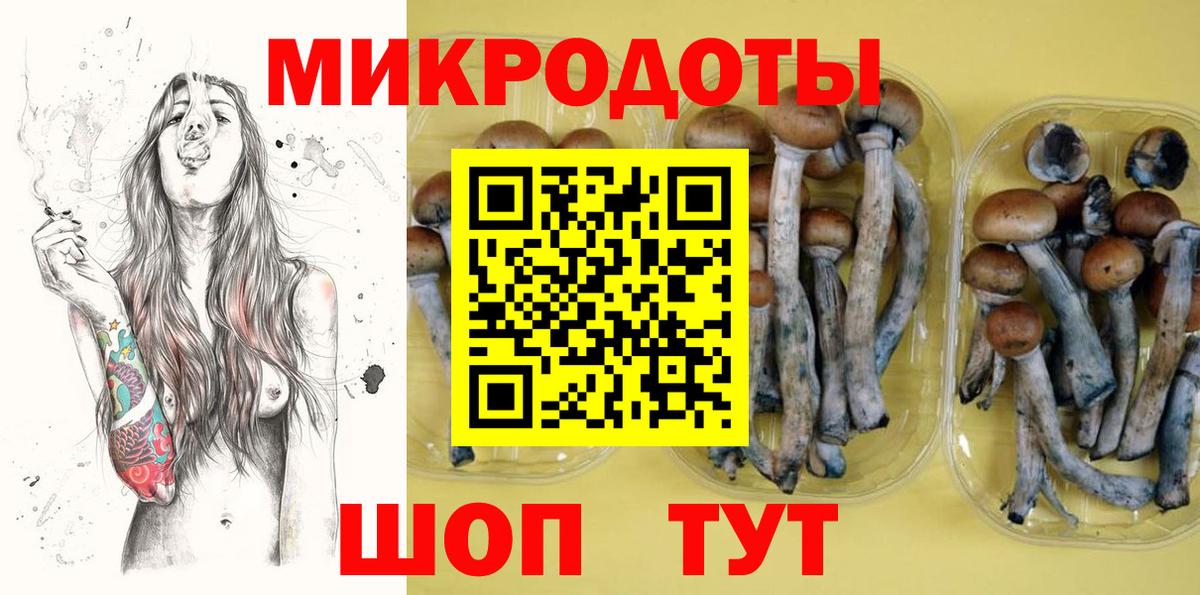 Галлюциногенные грибы Cubensis Солнечногорск